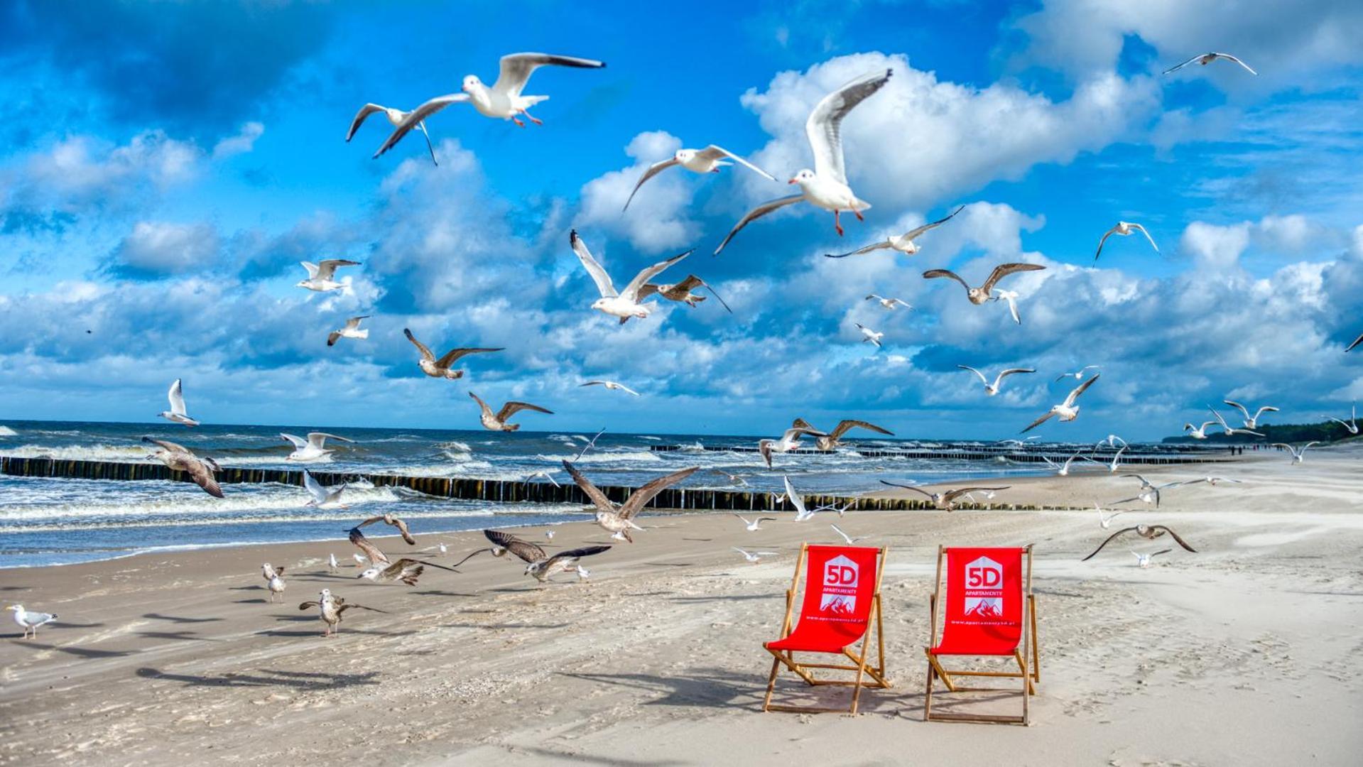 Rezydencja Niechorze 314 Z Widokiem Na Morze - 5D Apartamenty Esterno foto